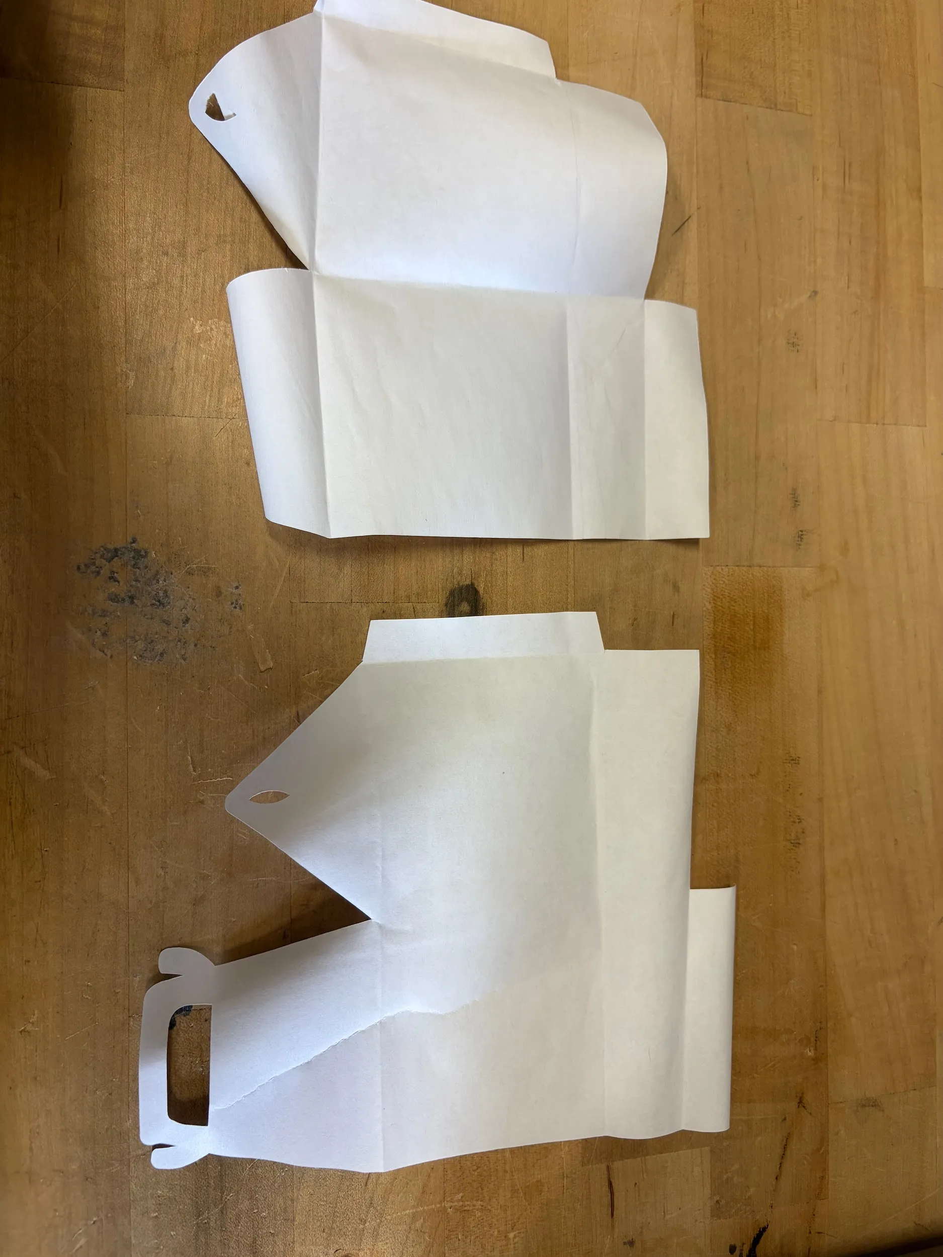 The two cut pieces laid side by side